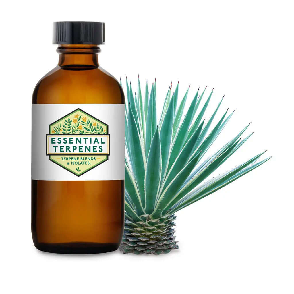 Agave Essential Terpenes – Sweet Agave Terpene Blend