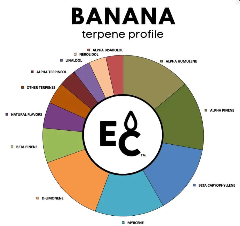 Chart showing banana terpenes profile with various compounds like alpha bisabolol and myrcene highlighted.
