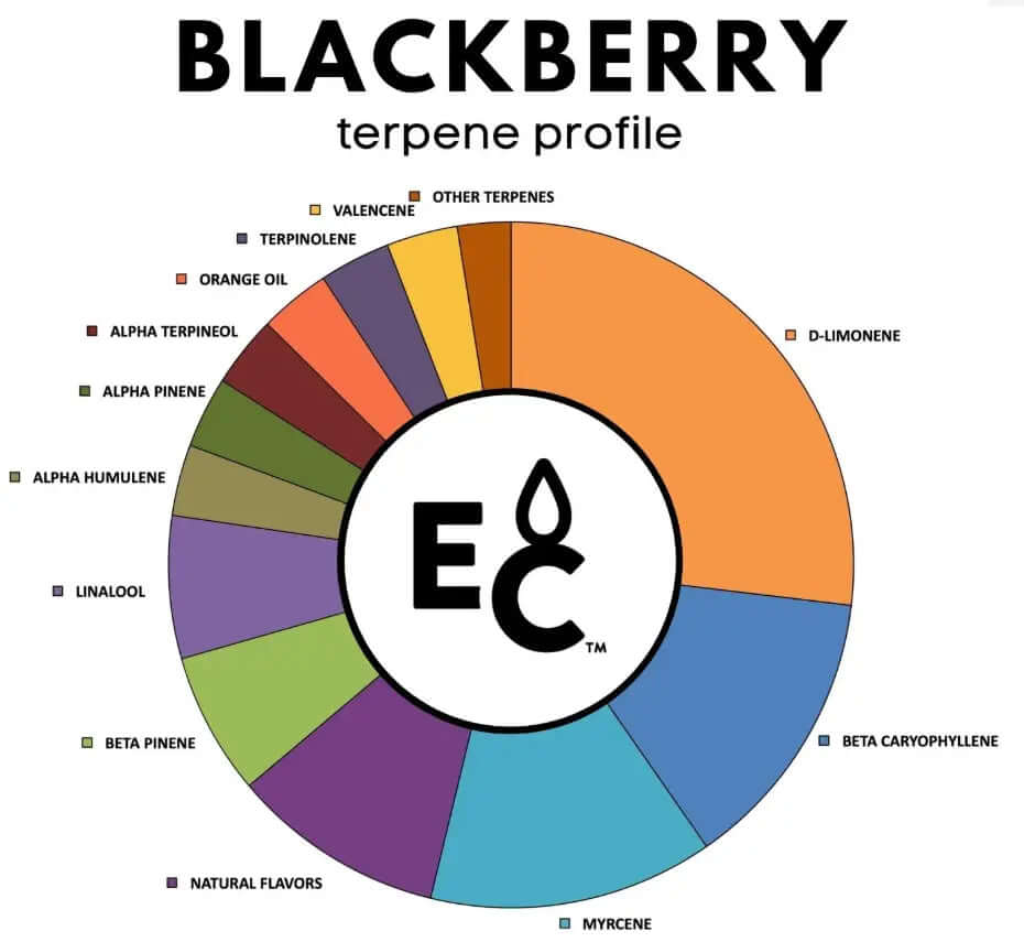 Blackberry terpenes chart showing terpene levels including myrcene, beta caryophyllene, and linalool for a relaxing and euphoric effect.