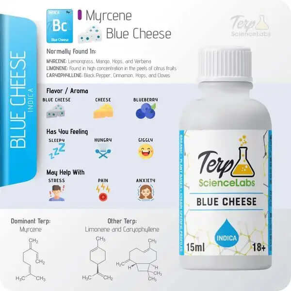 Blue cheese terpenes by TS Labs 15ml bottle with aromatic profile and benefits displayed.