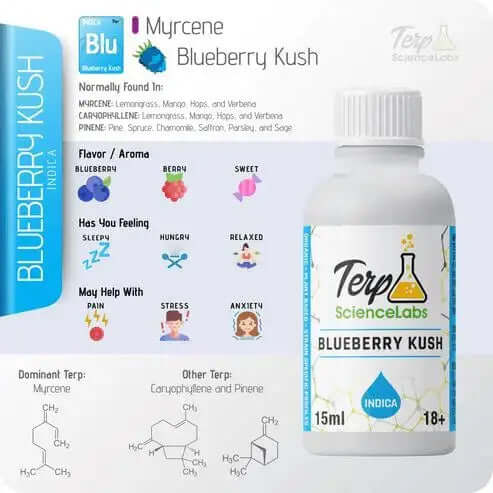 TS Labs - Blueberry Kush - 15mL - Viking Lab Supply