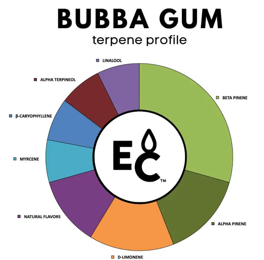 Bubba Gum terpenes profile chart showcasing various terpene components in a colorful pie chart.