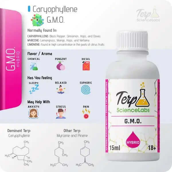 TS Labs - GMO - 15mL - Viking Lab Supply