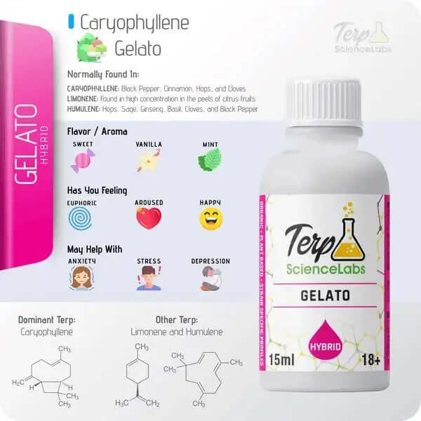 TS Labs - Gelato - 15mL - Viking Lab Supply