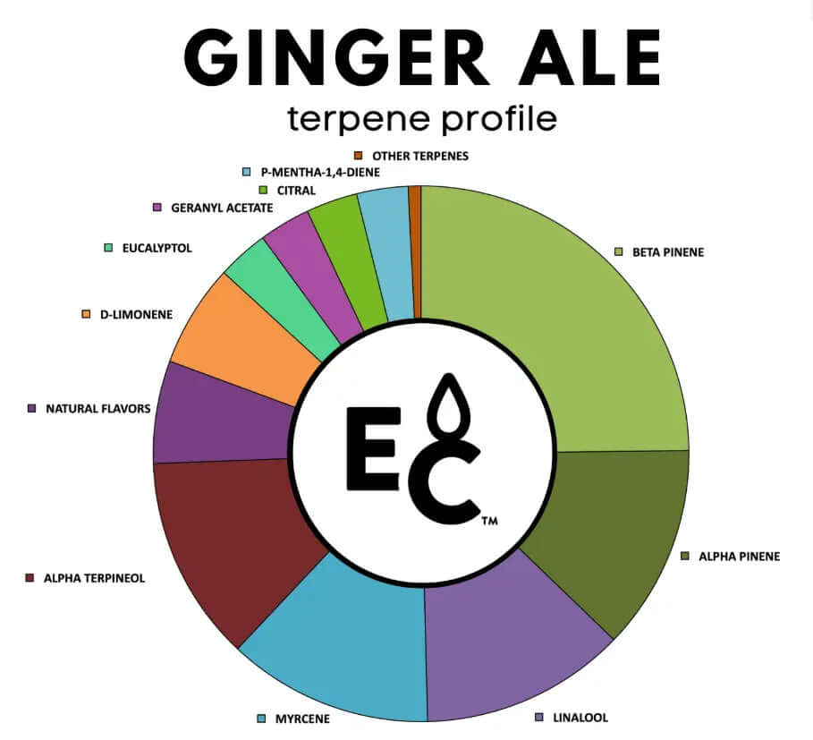 Ginger Ale natural terpenes terpene profile diagram showcasing various terpenes and their characteristics.
