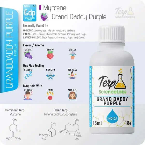 TS Labs - Grand Daddy Purple - 15mL - Viking Lab Supply