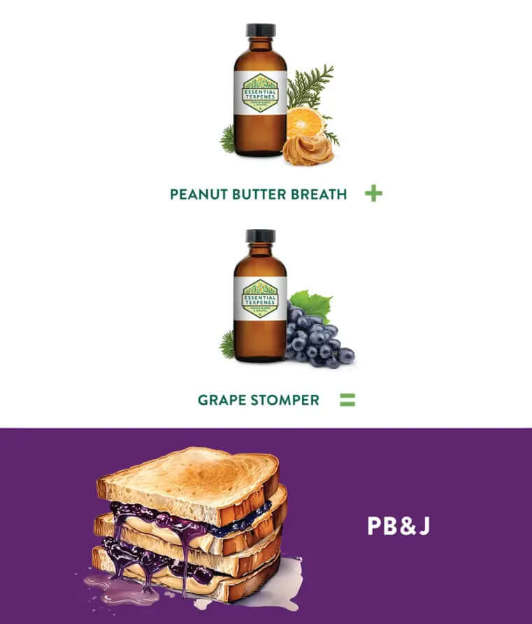 Illustration of Premium Essential Terpenes All-Natural with Peanut Butter Breath, Grape Stomper, and PB&J sandwich concept.