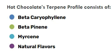 Hot Chocolate - Essential Terpenes Extract Consultants