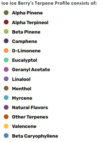 Ice Ice Berry - Essential Terpenes Extract Consultants