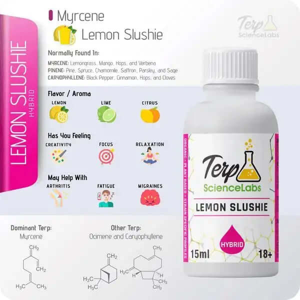 Lemon Slushie - TS Labs premium terpenes bottle with citrus aroma and effects chart highlighting creativity and relaxation benefits.
