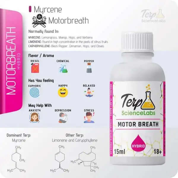 Motorbreath - TS Labs premium terpenes bottle with strain details and benefits