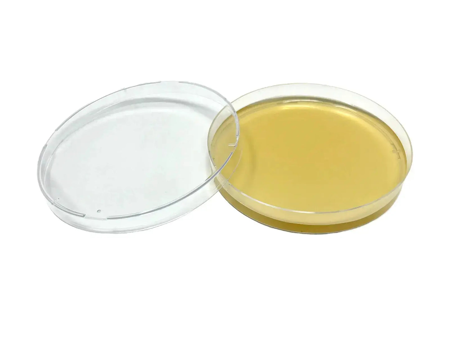 Potato Dextrose Agar (PDA) Plates (10 Pack) - Viking Lab Supply