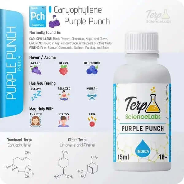 TS Labs - Purple Punch - 15mL - Viking Lab Supply