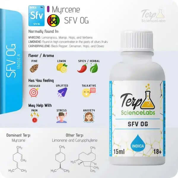 TS Labs - SFV OG - 15mL - Viking Lab Supply