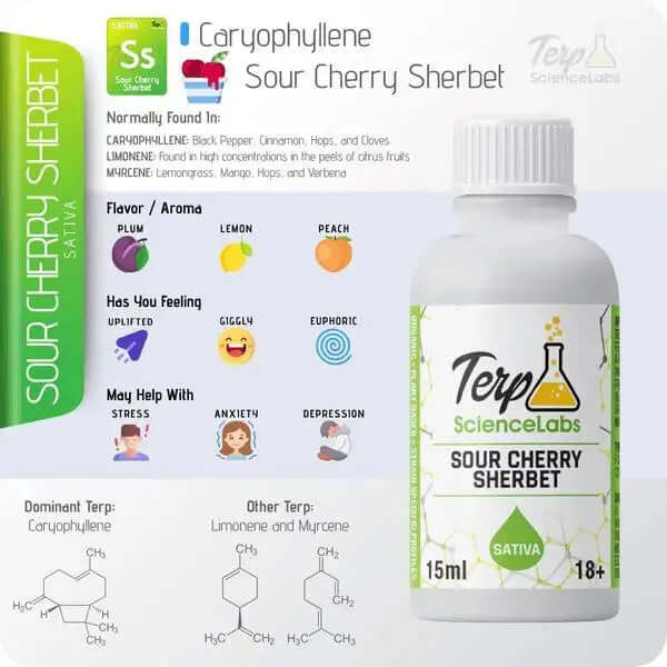 Sour Cherry Sherbert - TS Labs premium terpenes bottle with flavor notes and terpene profile.