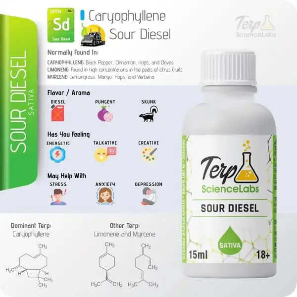 Sour Diesel - TS Labs premium terpenes with diesel flavor profile featuring bottle and terpene information.