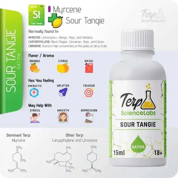 Tangie terpenes bottle from TS Labs with citrus and diesel flavor profile, 15ml, sativa, dominant terpenes myrcene, caryophyllene.