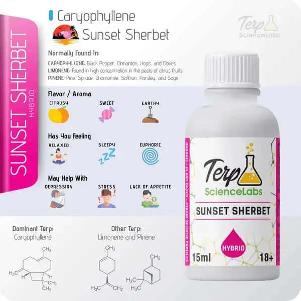 sunset sherbert - ts labs premium terpenes bottle with flavor and aroma profile chart