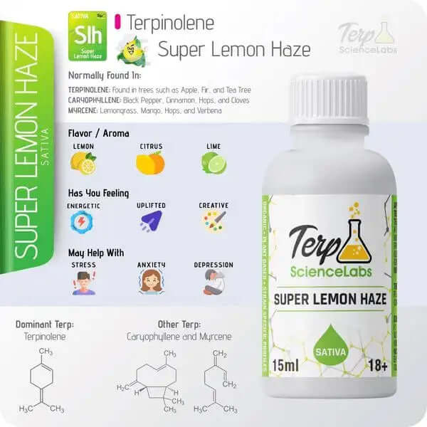 Super Lemon Haze terpenes by TS Labs with citrus flavor profile in 15ml bottle