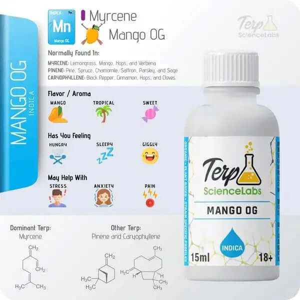 TS Labs - Mango OG - 15mL famous strain bottle with tropical and fruity aroma description
