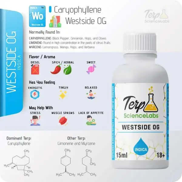 TS Labs Westside OG terpenes 15ml bottle with flavor and aroma details of Indica strain, featuring caryophyllene dominant profile.