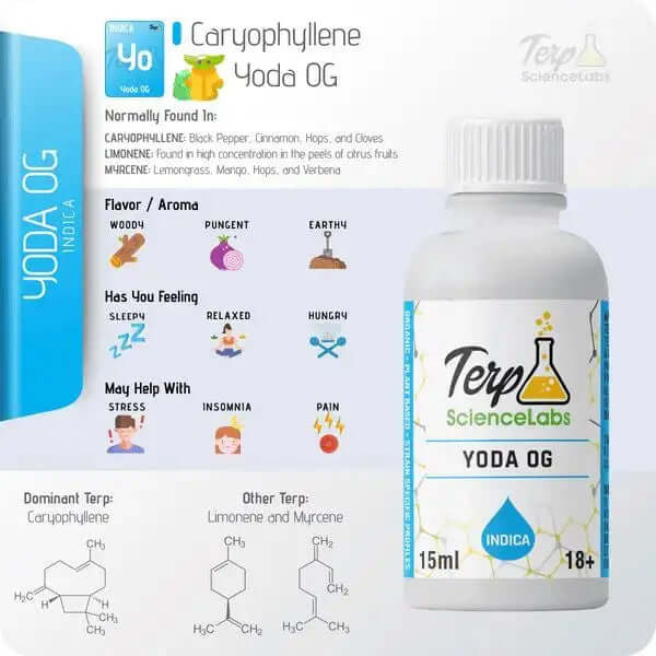 TS Labs - Yoda OG - 15mL - Viking Lab Supply