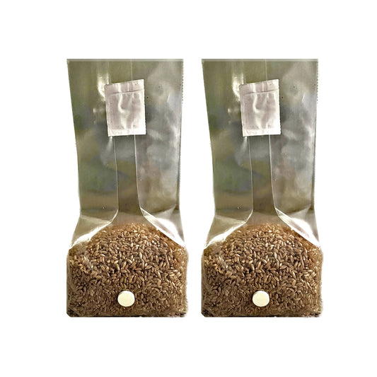 1lb Sterile Grain Spawn Bag - Viking Lab Supply