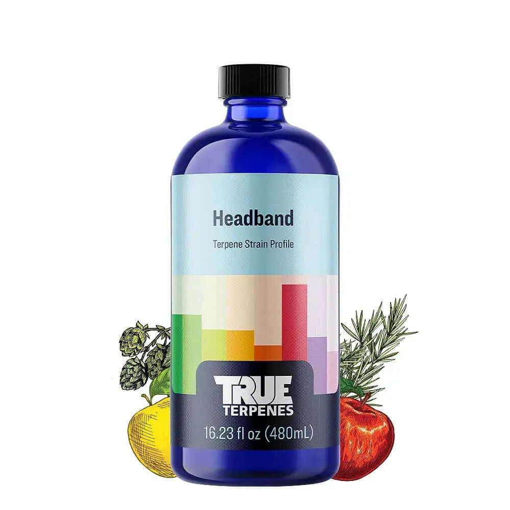 headband Terpenes by True Terpenes - 15ml bottle with hybrid strain profile featuring sweet, earth, and fuel fragrance for uplifting effects