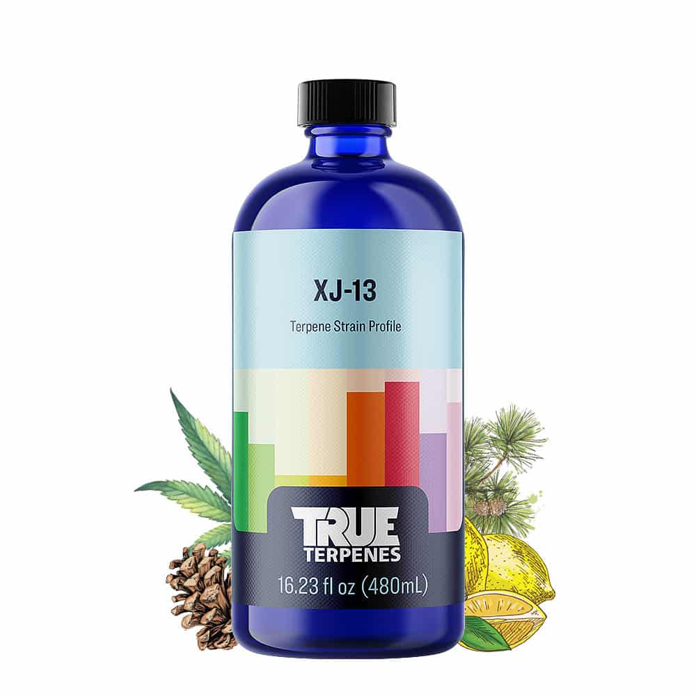True Terpenes - XJ-13 - 15ml bottle with citrus, pine, and earth scents, hybrid strain effects: cheerful, euphoric, energized.