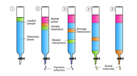 Diagram of CHROMATOGRAPHY for pesticide remediation showing phases and molecular interactions in separation process.