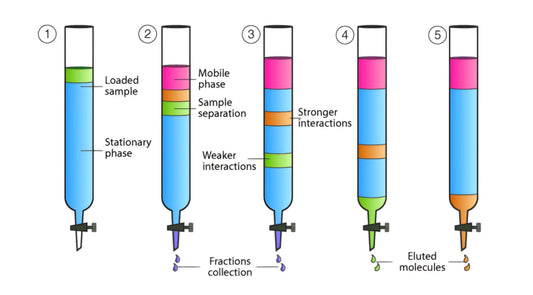 Diagram of CHROMATOGRAPHY for pesticide remediation showing phases and molecular interactions in separation process.