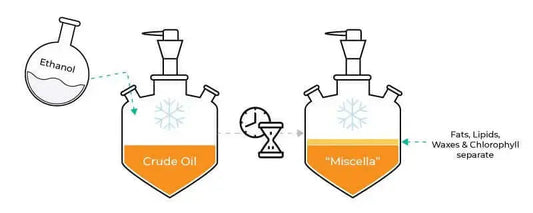 Diagram of WINTERIZATION Prior to Distillation process separating fats, lipids, and waxes using ethanol in cannabis extraction.