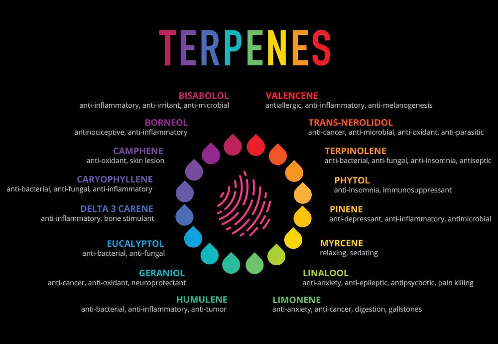 Terpenes - Viking Lab Supply
