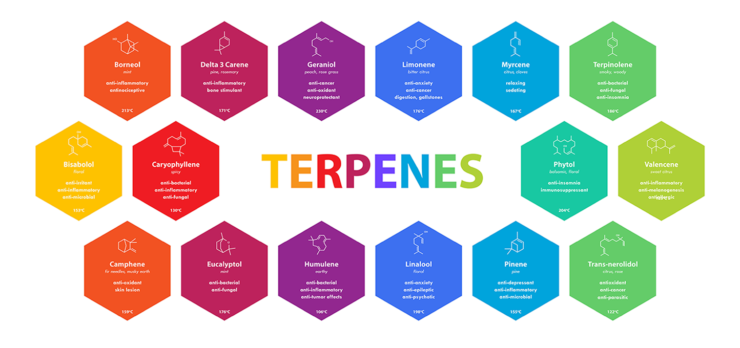 Logo for Essential Terpenes - High Quality Organic Terpenes featuring botanical designs and text.