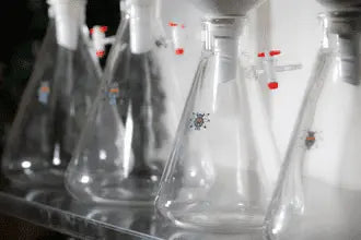Erlenmeyer Flasks in various sizes with vacuum ports and stop-cocks on a laboratory shelf.