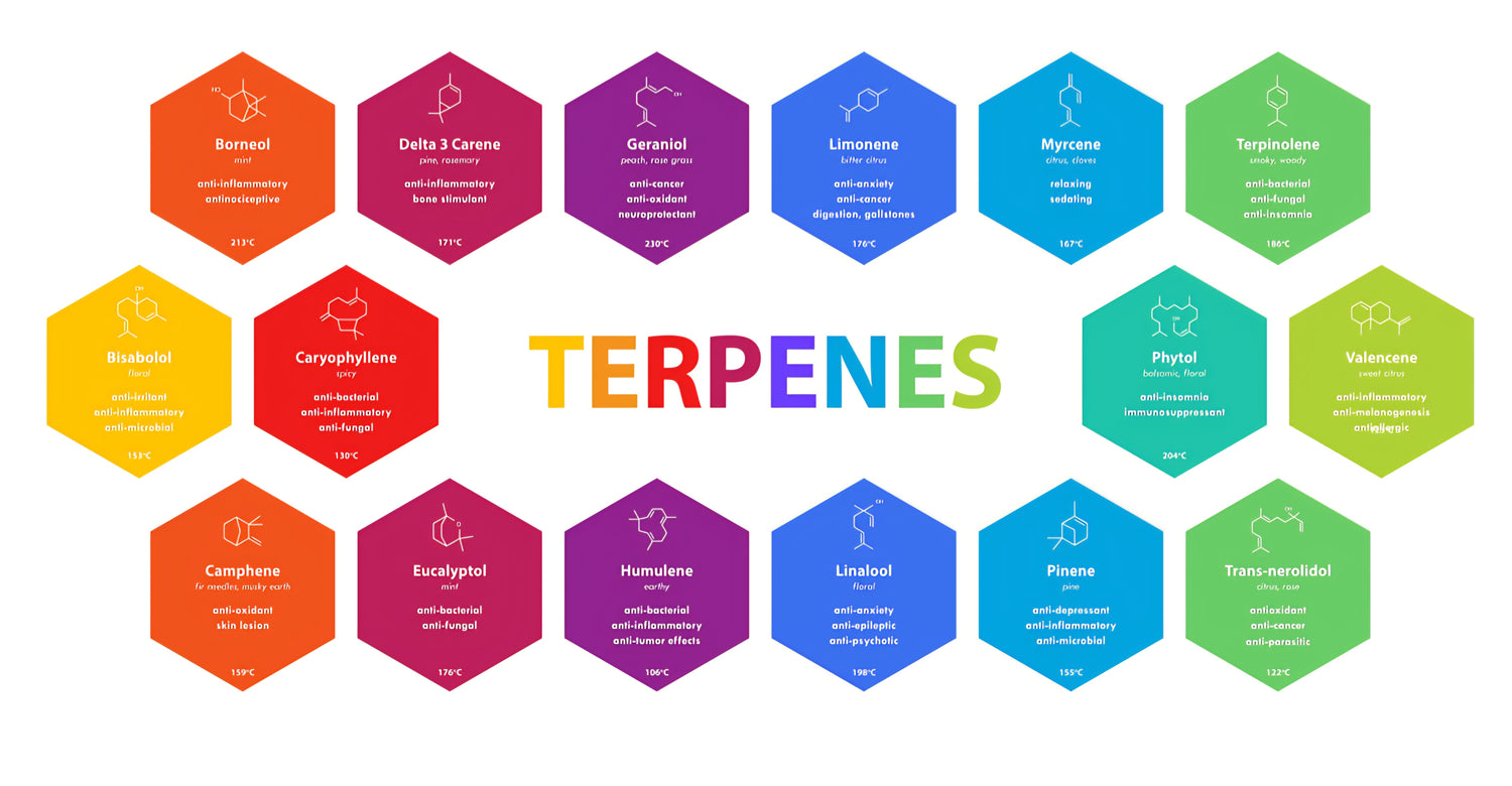 Chart of various terpenes with chemical structures, highlighting their benefits, used with Terpene Sprayers for Flower Application