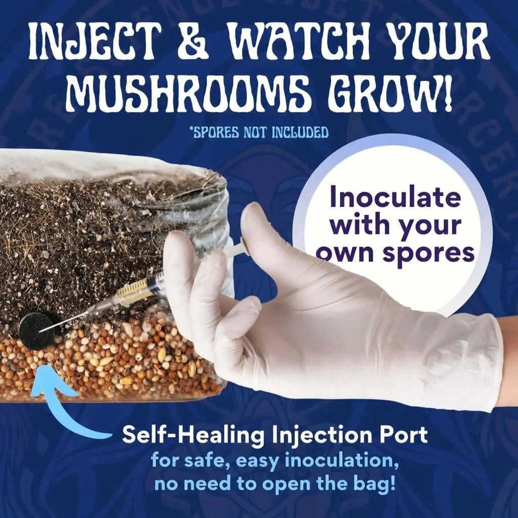 AIO Mushroom Bag 5LB product image showing injection process for spores, featuring self-healing port for dung-loving mushrooms, mycology use.