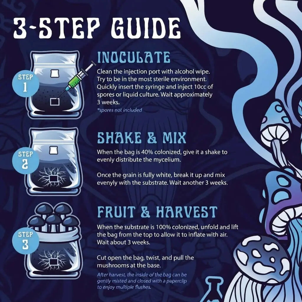 Infographic showing a 3-step guide for using AIO Mushroom Bag 5LB for cultivating mushrooms.