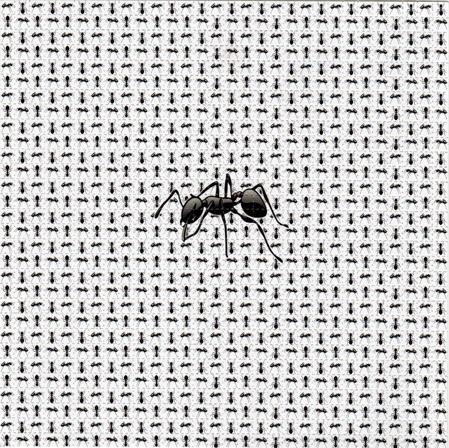 Blotter Art - acid free perforated blotter paper with ant design, high-quality cotton paper, 7.5x7.5 inches, 900 perforated tabs.