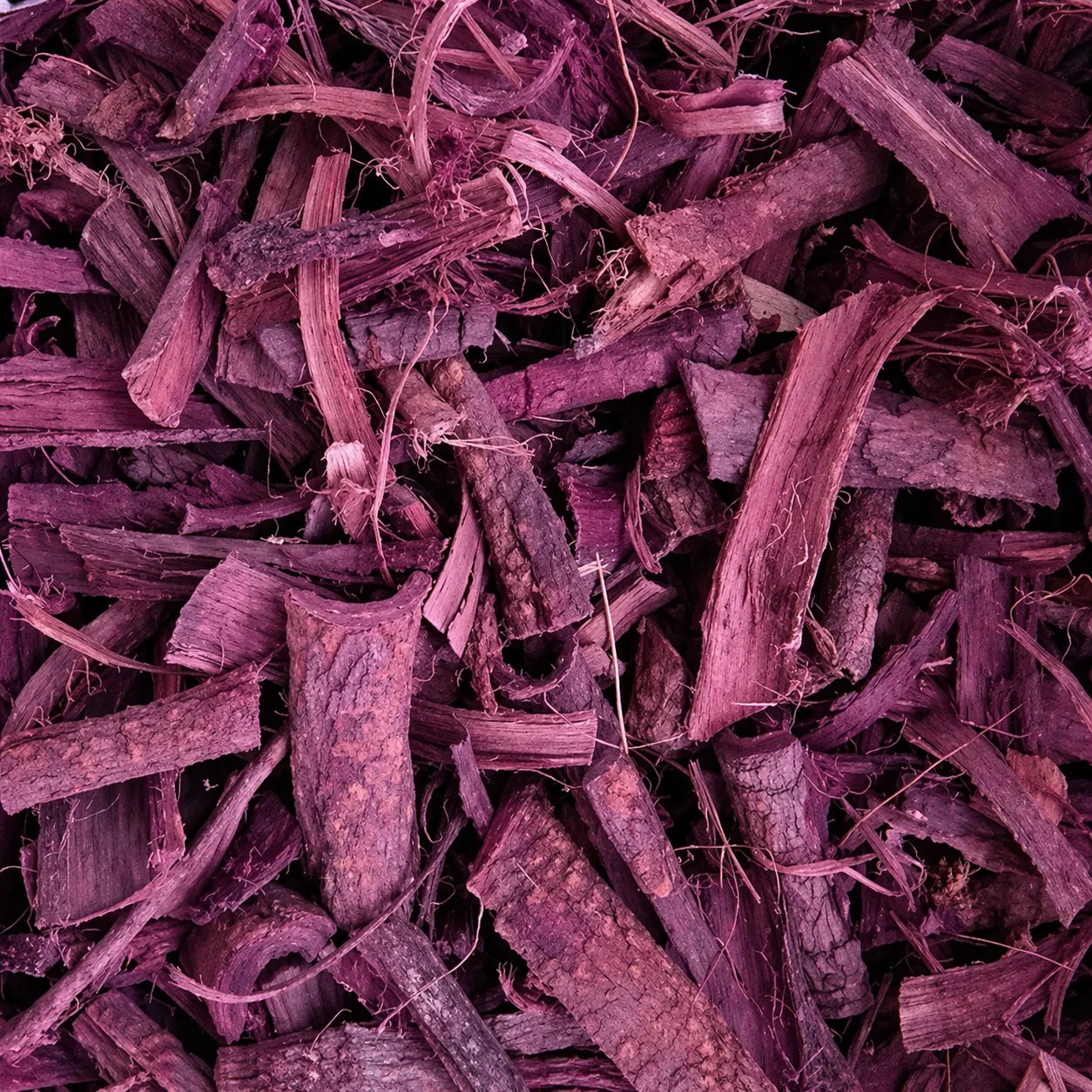 Mimosa hostilis root bark mhrb used for organic dye showcasing deep reddish-purple hue. 