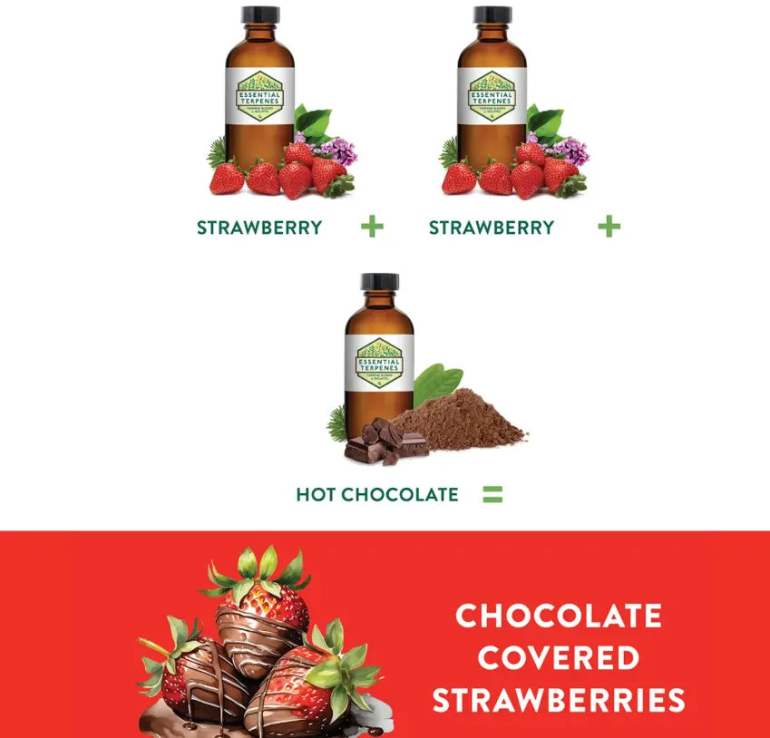 Hot Chocolate - Essential Terpenes Extract Consultants