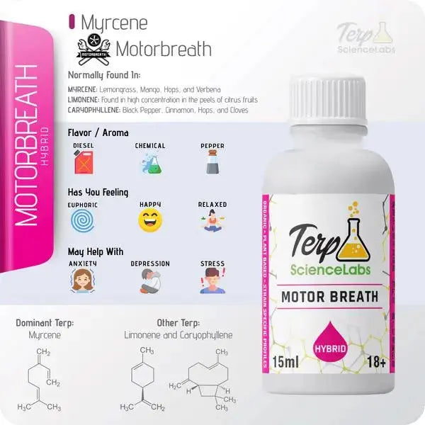 TS Labs - Motorbreath - 15mL - Viking Lab Supply