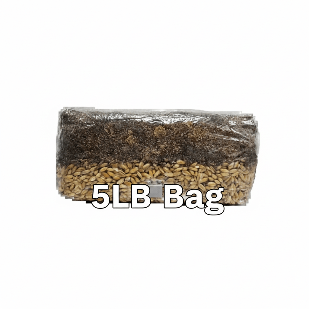 AIO Mushroom Bag 5LB with grains and coco-coir for dung-loving mushrooms cultivation.