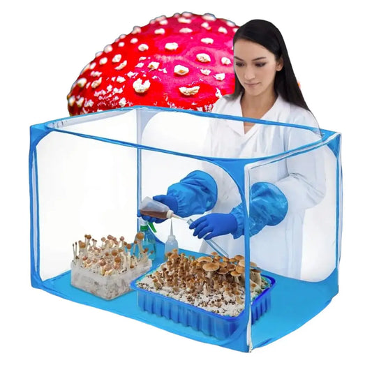 Mushroom Still Air Glove Box for Mycology - Viking Lab Supply