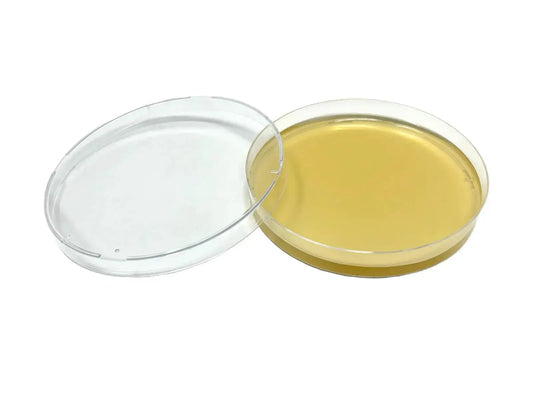 Potato Dextrose Agar (PDA) Plates (10 Pack) - Viking Lab Supply
