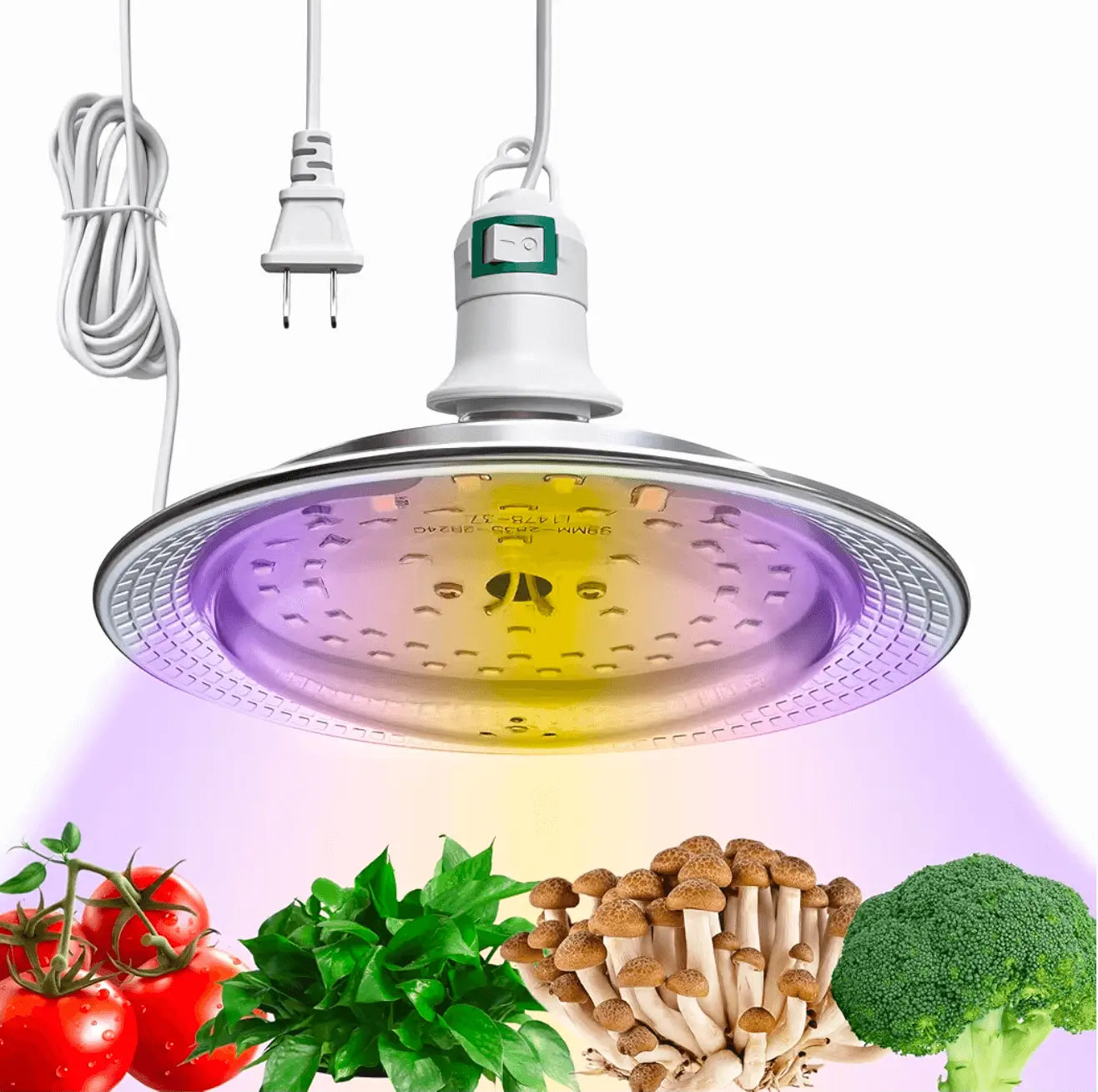 LED grow light showcasing vibrant vegetables and mushrooms, ideal for a Still Airbox for Mycology environment.