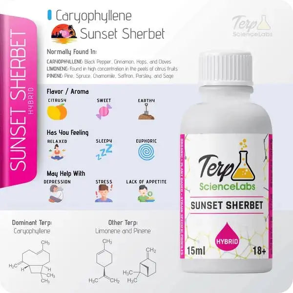 TS Labs - Sunset Sherbert - 15mL - Viking Lab Supply