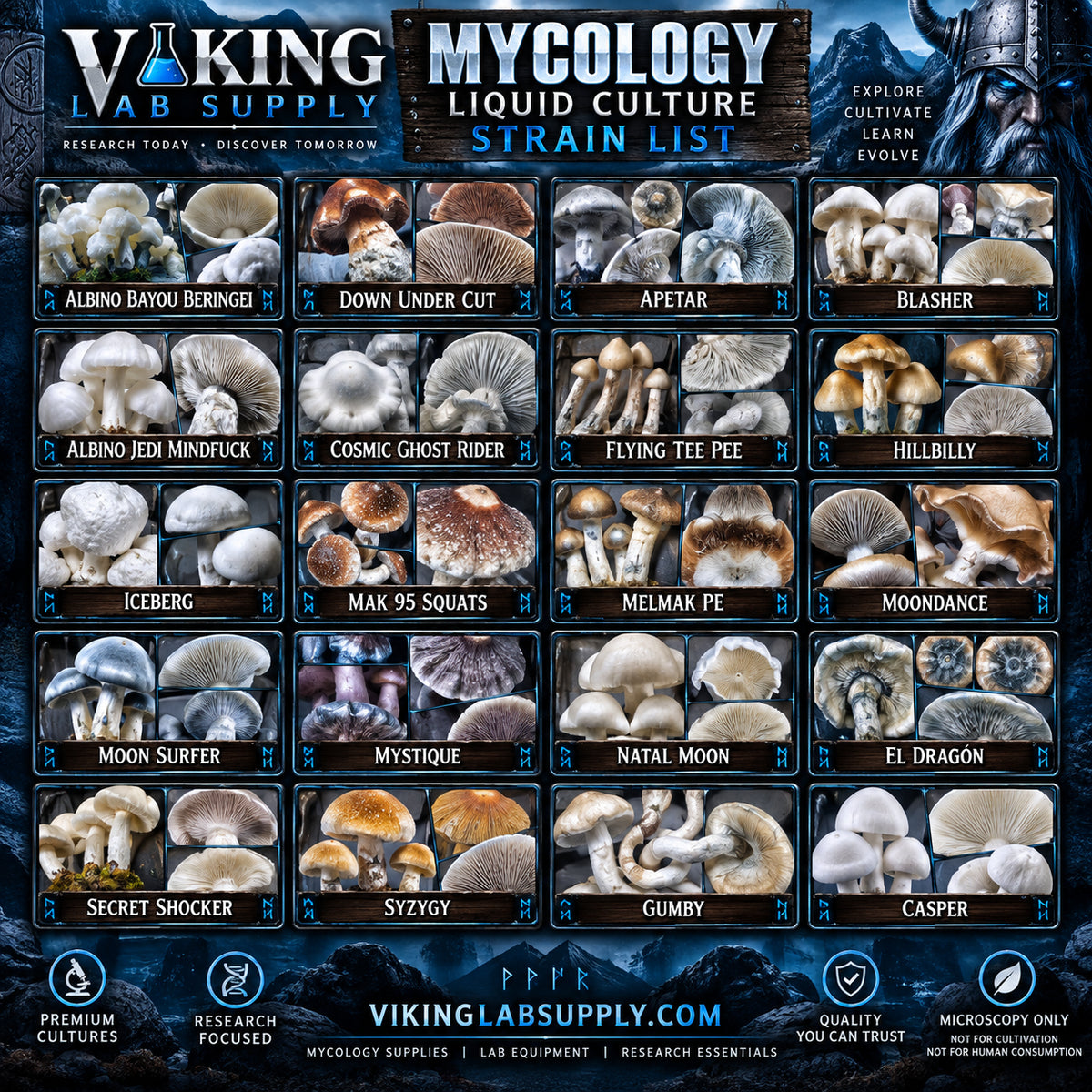 Microscopy mycology research liquid culture specimen reference from Viking Lab Supply