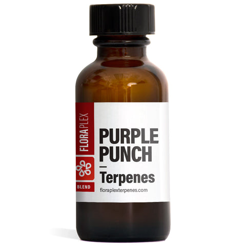 Floraplex - Purple Punch - 15ml